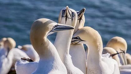 官方网站-李磊：希望郭田雨尽快攻克语言关 在欧洲多踢几年